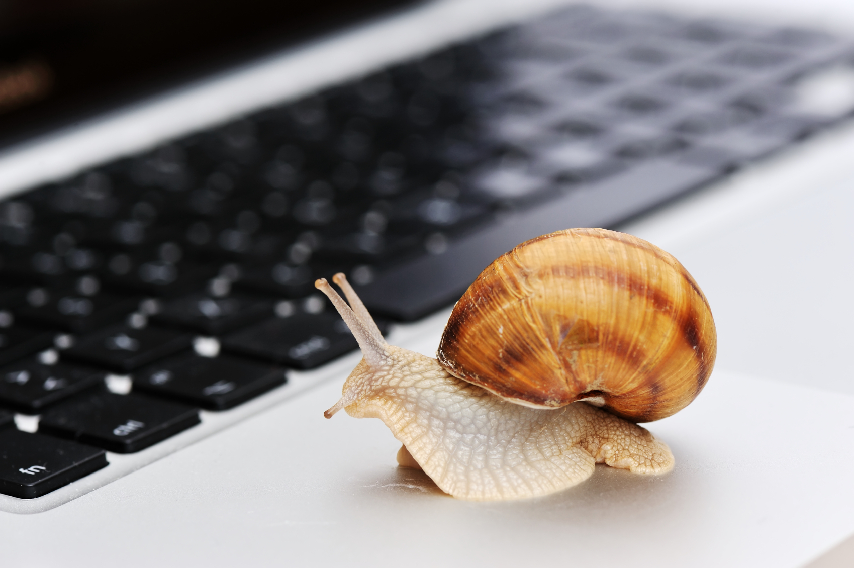 Is This Sales Blind Spot Impacting Your High Performers?