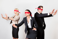 Blindfolded Salespeople, CEO Sales Guide, revenue growth, sales excellence, planning, sales forecast, pipeline, growing business, Intelligent Conversations, Mike Carroll, Milwaukee