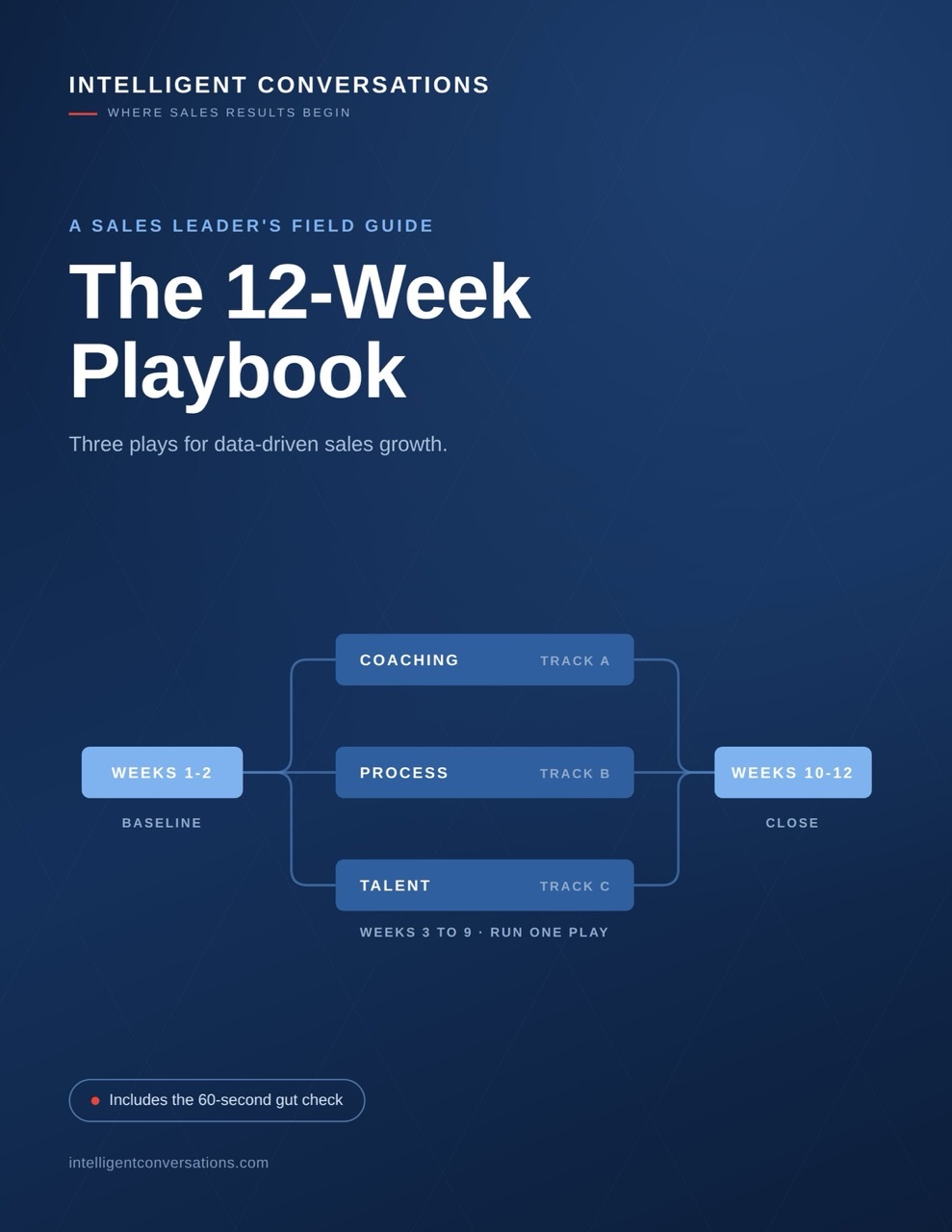 IC-12-week-playbook-cover